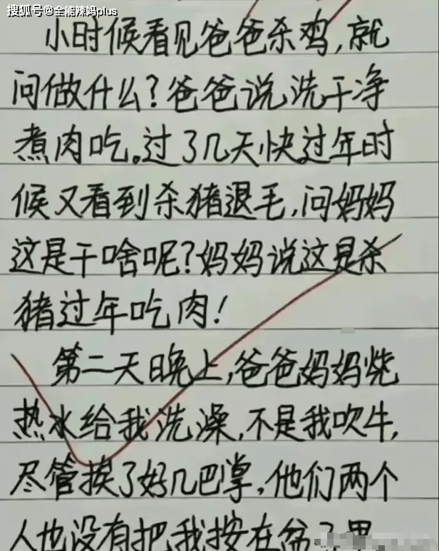 中考满分作文温暖(温暖中考作文)