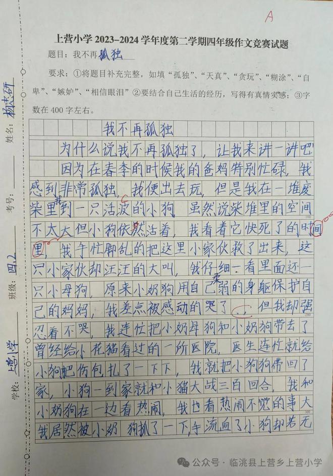 关于亲情中考满分作文(亲情类中考满分作文)