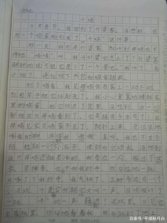 小学生作文美食300字(小作家美食篇300字)