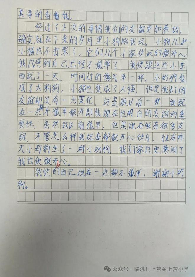 我的中考作文800字(中考作文八百字)