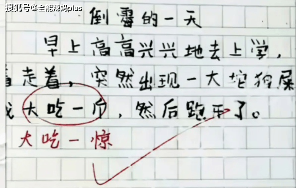 小学三年级语文作文(三年级小学生语文习作)